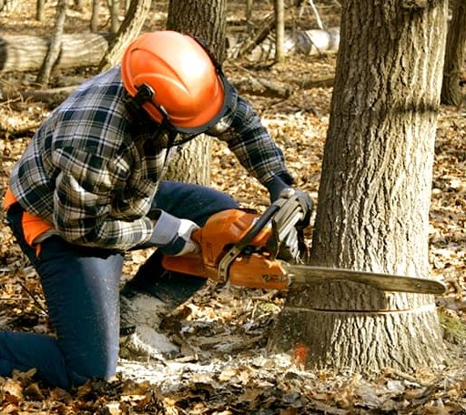 Tree Removal in Garber, OK